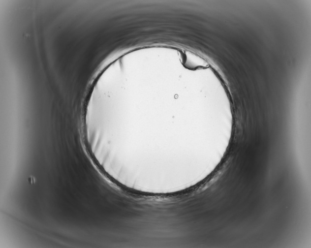 X0000086271525200704262006