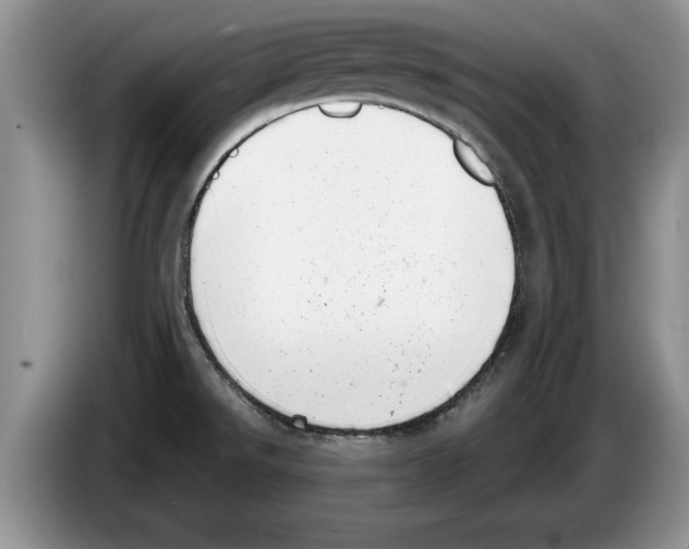 X0000086271526200704262006