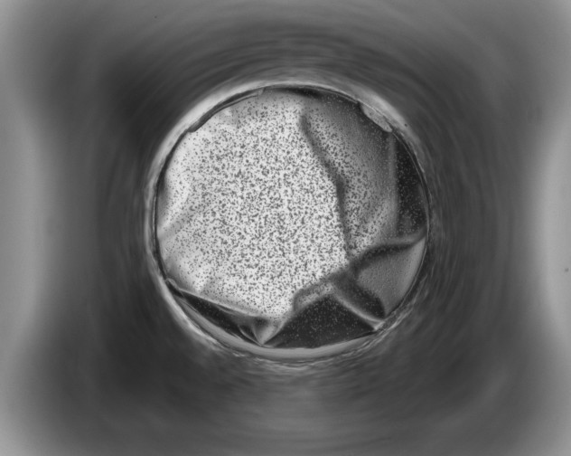 X0000086271528200704262006