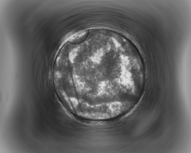 X0000086271529200704262006