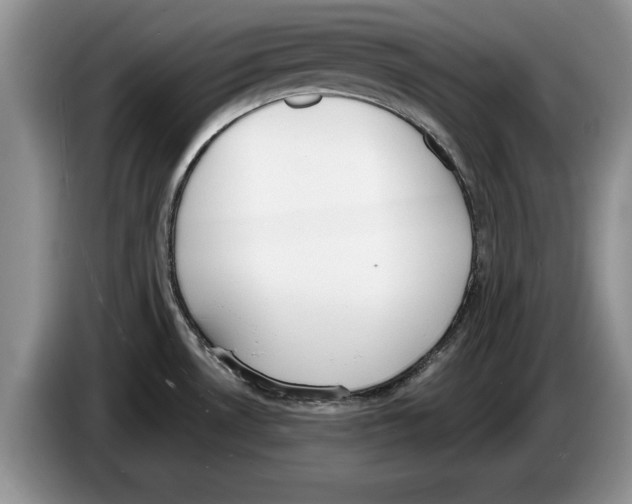 X0000086271530200704262006