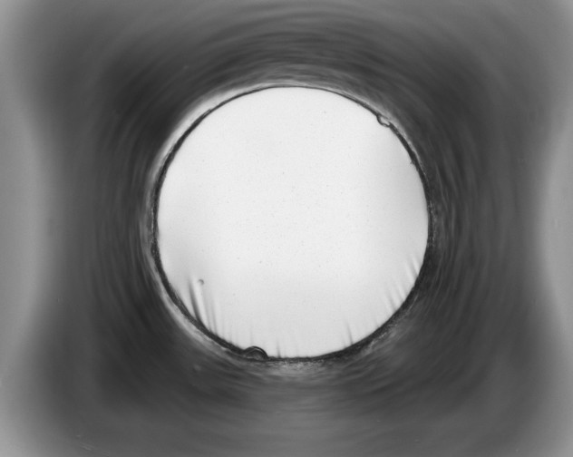 X0000086271531200704262006