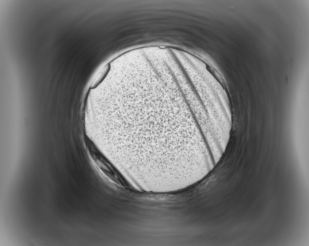 X0000086271532200704262006