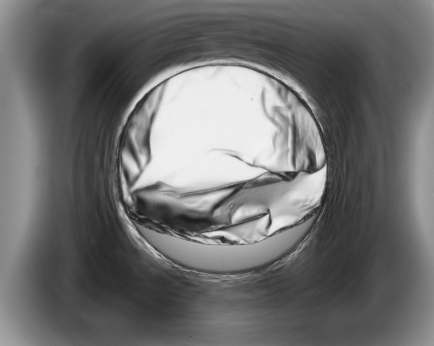 X0000086271534200704262006