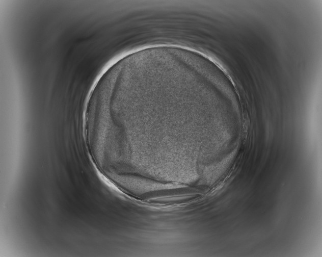 X0000086271535200704262006