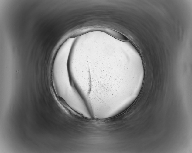 X0000086271536200704262006