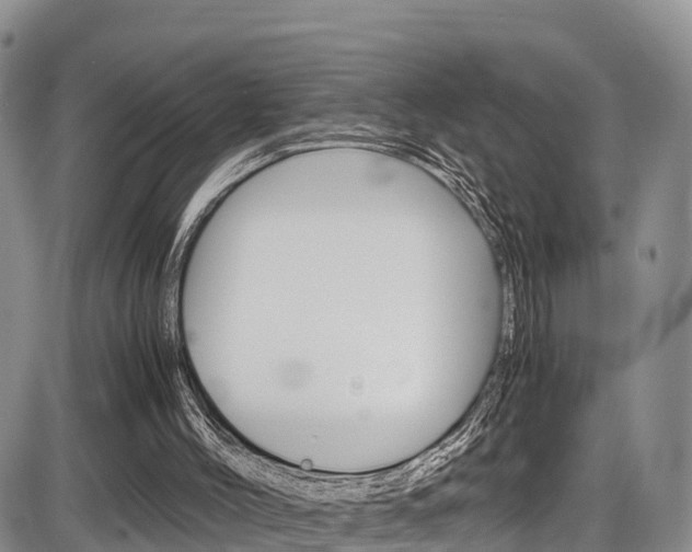 X0000086280004200703291115