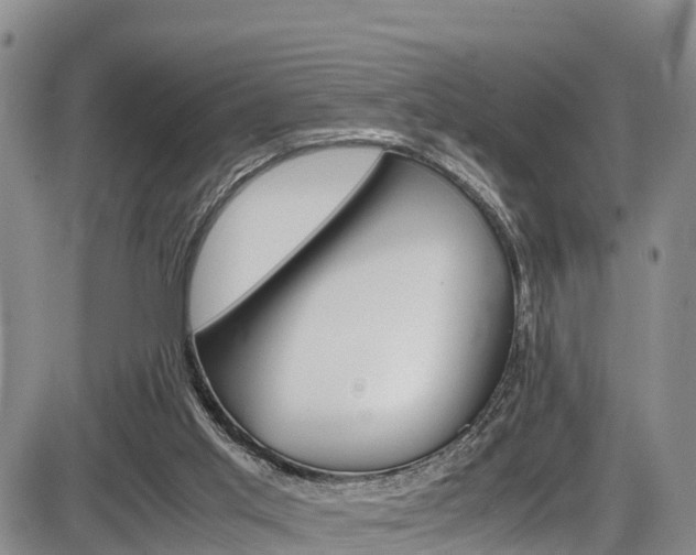 X0000086280013200703291115