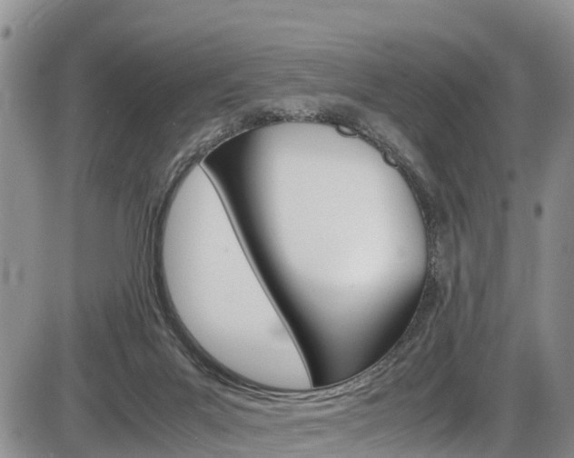 X0000086280023200703291114