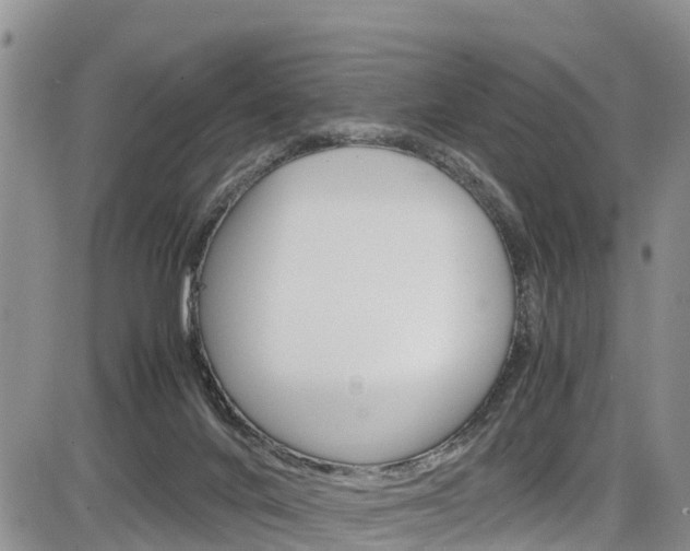 X0000086280024200703291114