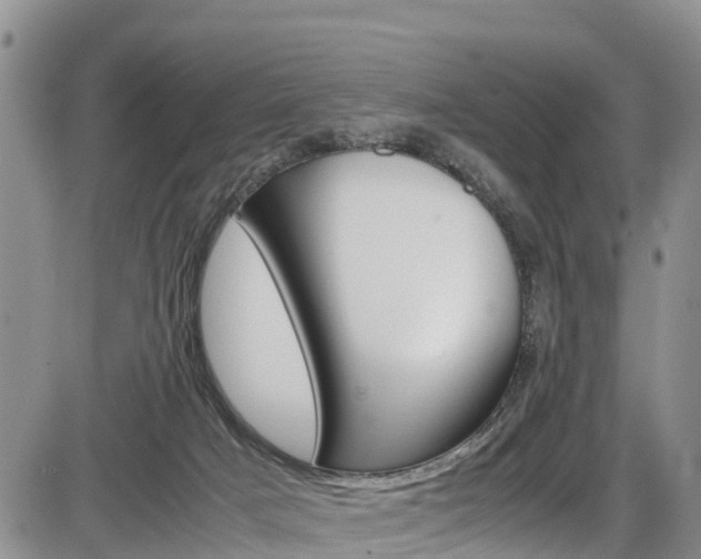 X0000086280025200703291114