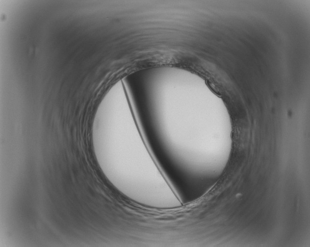X0000086280035200703291114