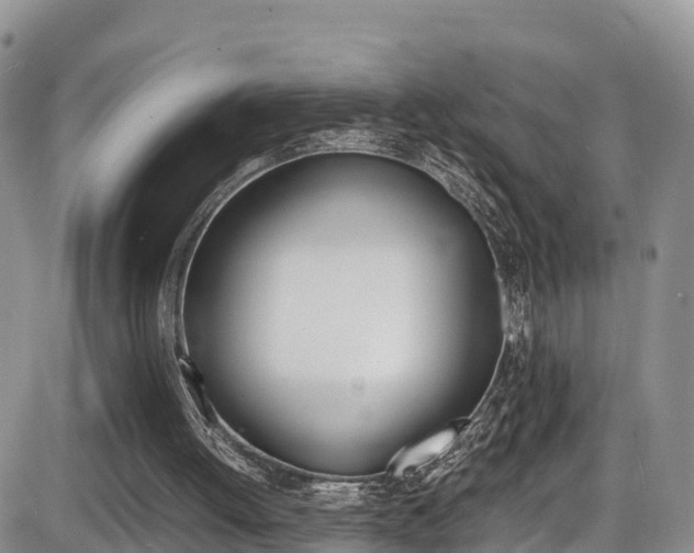 X0000086280052200703291113