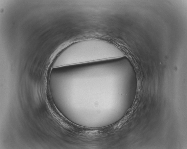 X0000086280054200703291113
