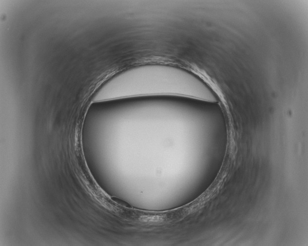 X0000086280057200703291113