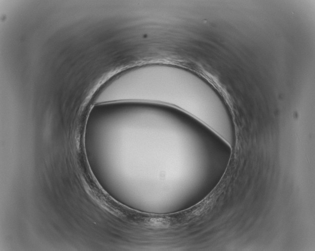 X0000086280060200703291113