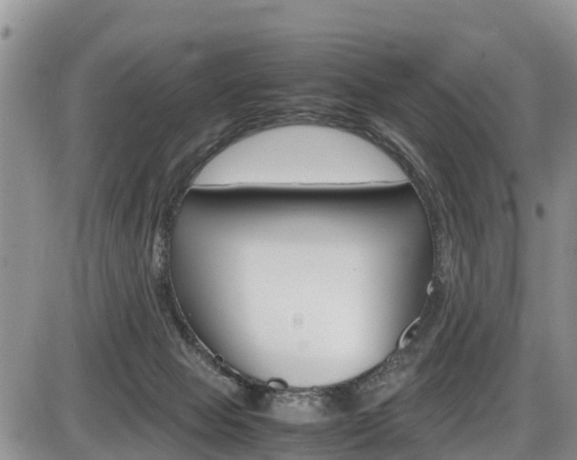 X0000086280077200703291114