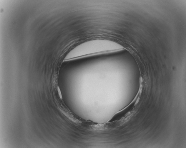 X0000086280092200703291114