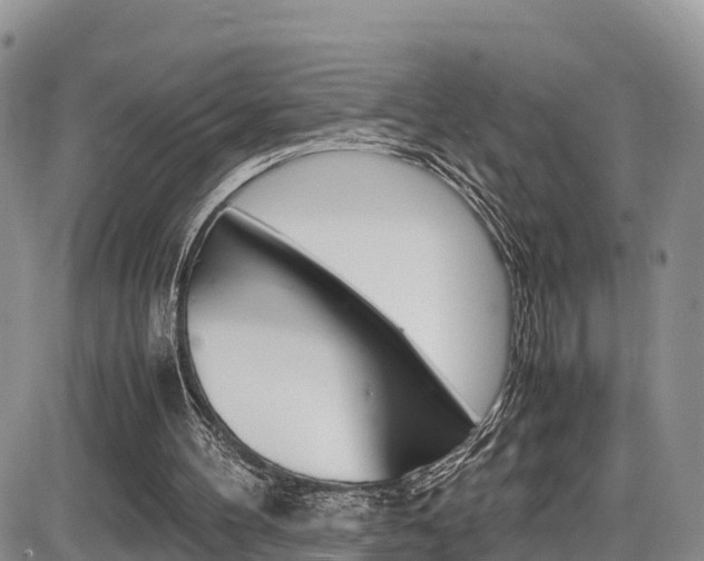 X0000086280100200703291113