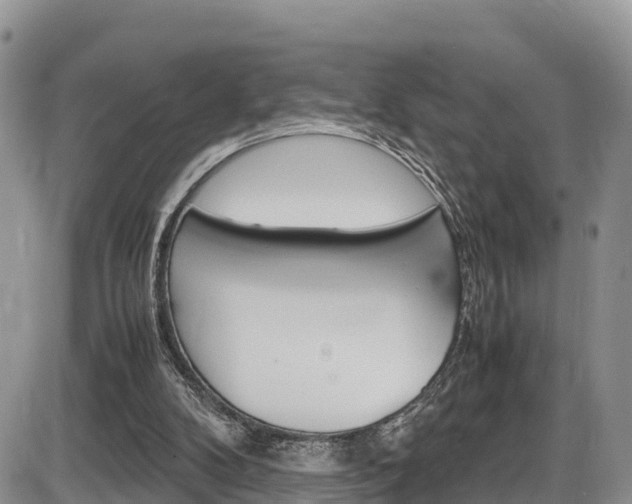 X0000086280104200703291113