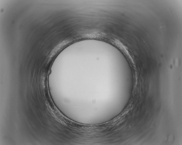 X0000086280106200703291113