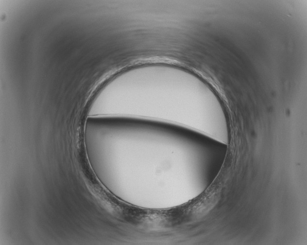 X0000086280111200703291113