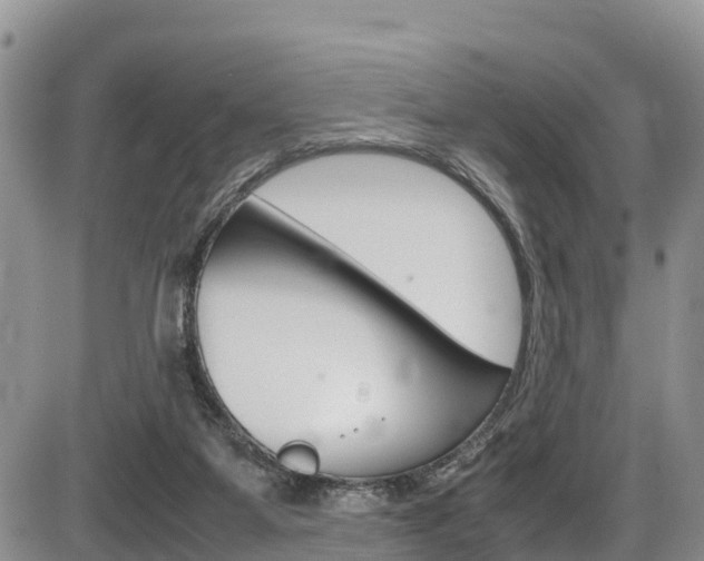 X0000086280115200703291113