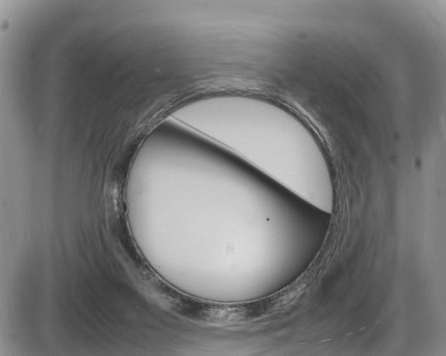 X0000086280117200703291113