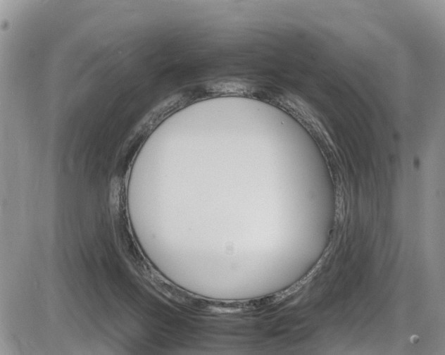 X0000086280167200703291112