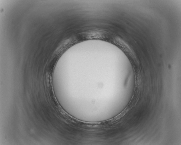 X0000086280169200703291112