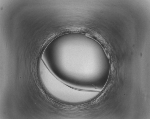 X0000086280201200703291111