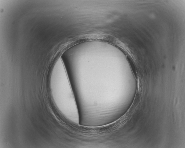 X0000086280205200703291111