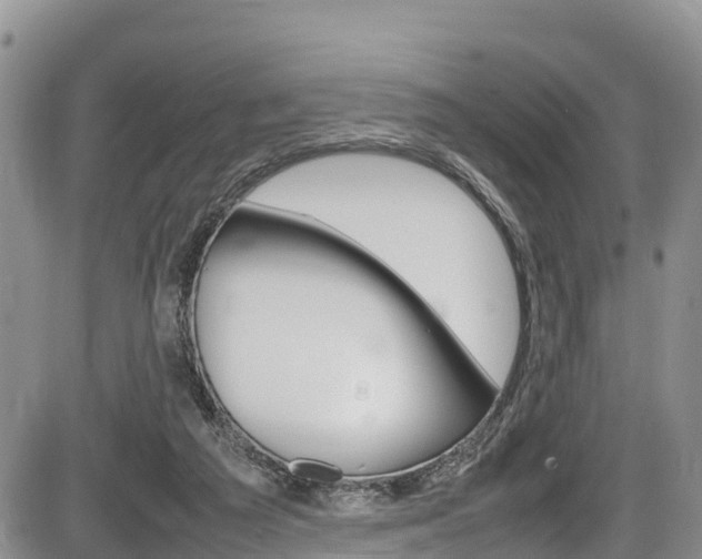 X0000086280209200703291111