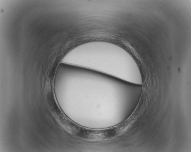 X0000086280213200703291111