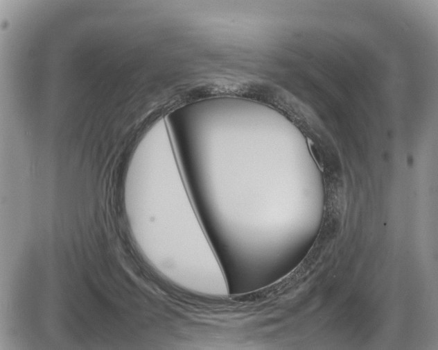 X0000086280215200703291111