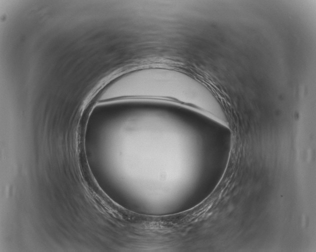 X0000086280244200703291110