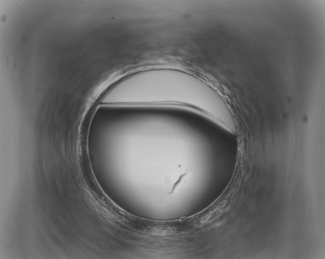 X0000086280248200703291110