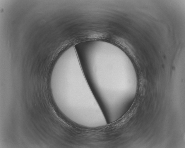 X0000086280257200703291110