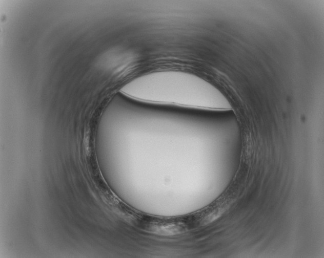 X0000086280267200703291110