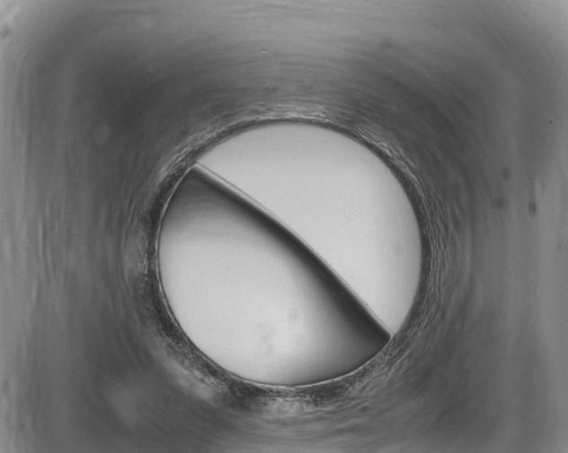 X0000086280303200703291110