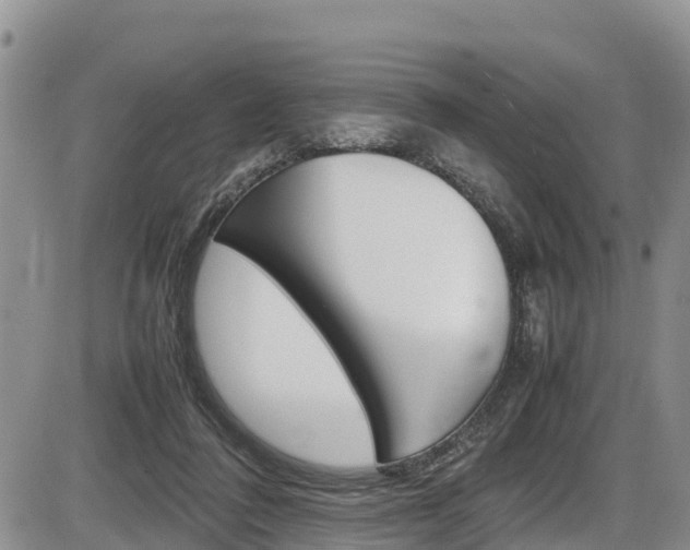 X0000086280308200703291110