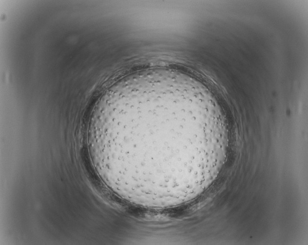 X0000086280311200703291110