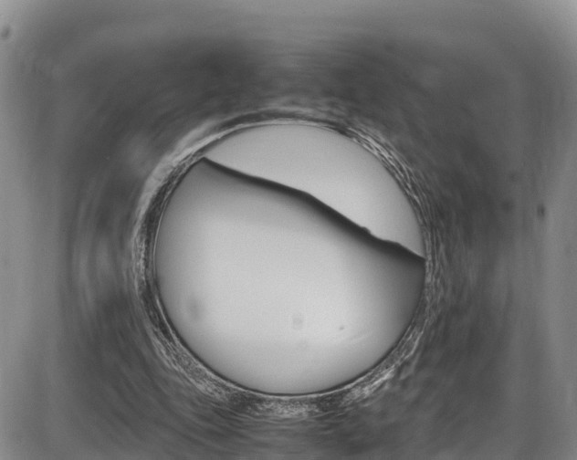 X0000086280343200703291109