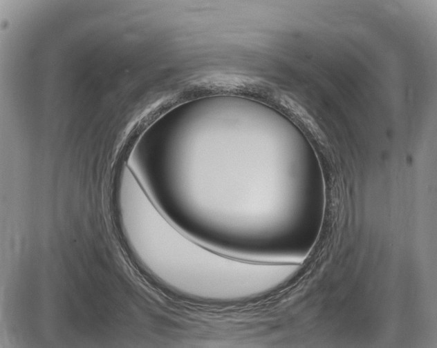 X0000086280399200703291108