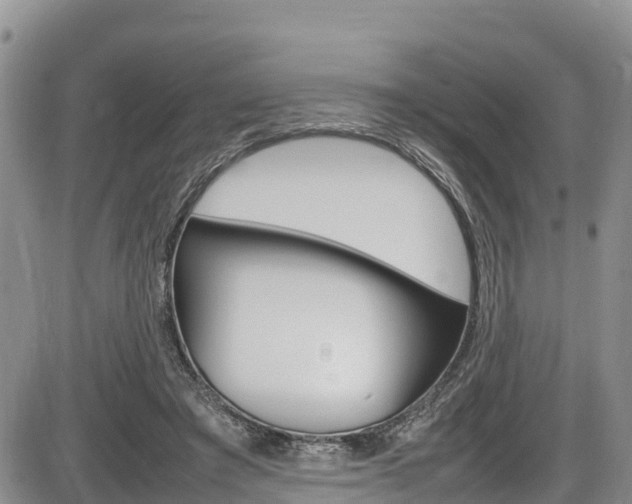 X0000086280401200703291108