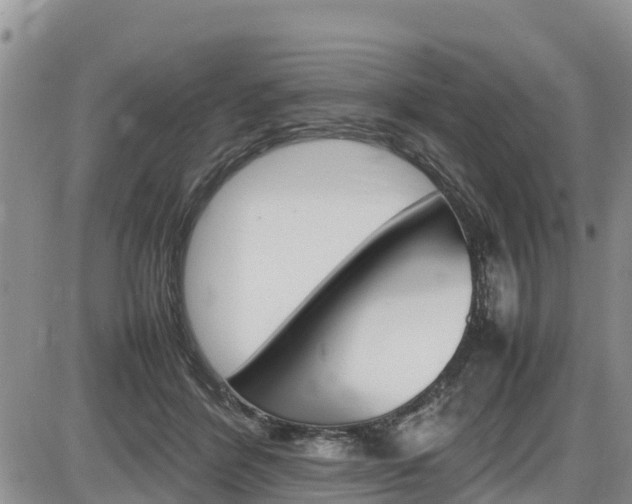 X0000086280412200703291108