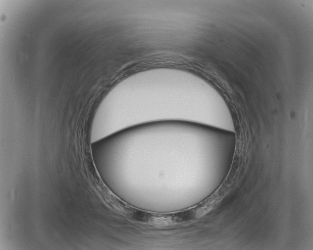 X0000086280413200703291108