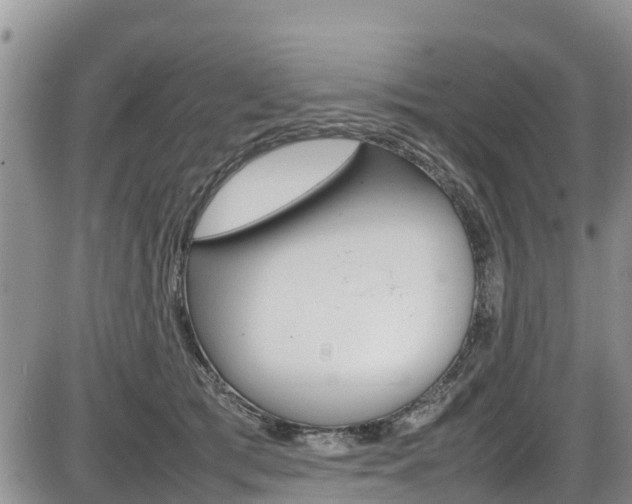 X0000086280417200703291108