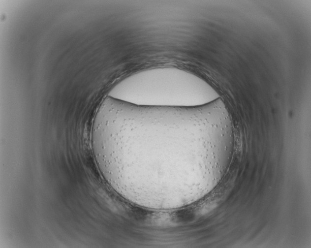 X0000086280418200703291108