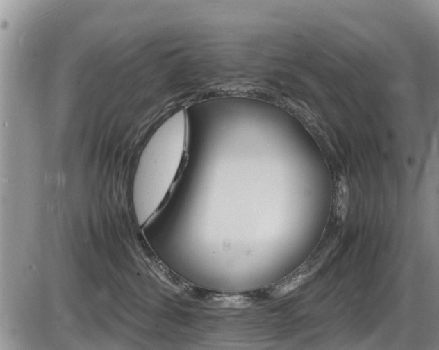 X0000086280428200703291108